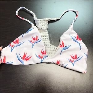 Acacia birds of paradise jaws top